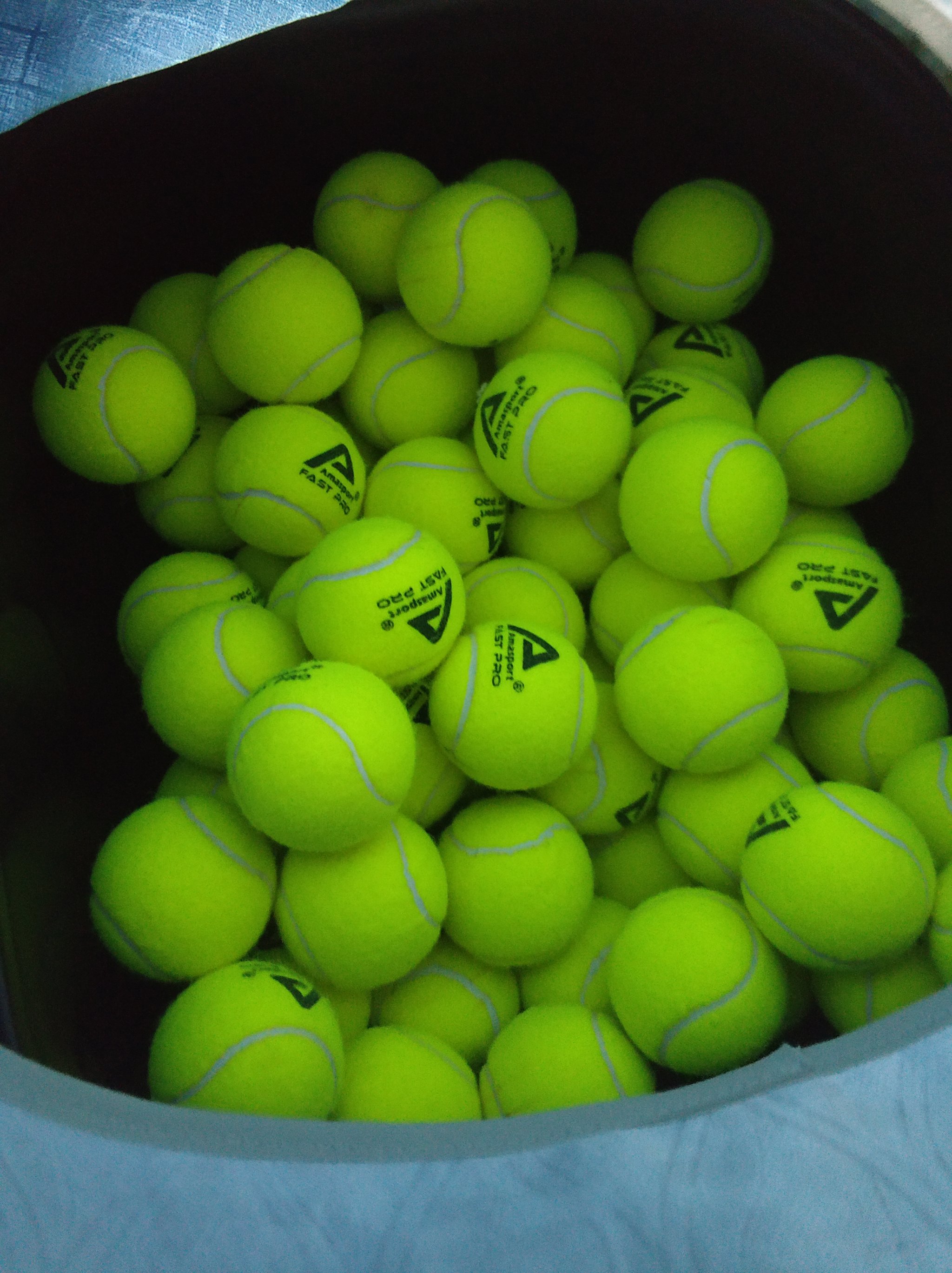 化不仅源于 化不仅源于